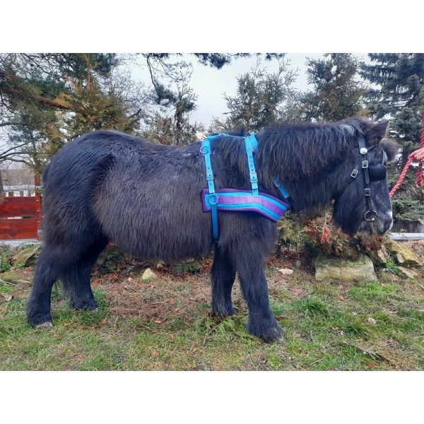 Postroj na Skijoring BETA s výšivkou zdarma