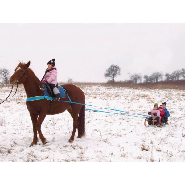 Nylonový postroj na SKIJORING s výšivkou zdarma