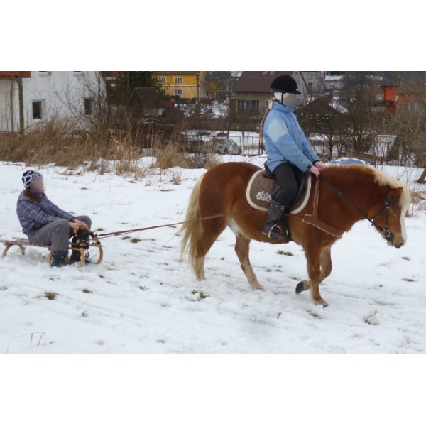 Nylonový postroj na SKIJORING s výšivkou zdarma